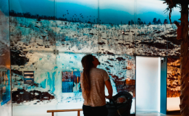 Matka menneeseen, osa 2: <br> Ikiaikainen Inari