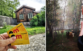 Kesäkasin kulttuuriresepti, osa 4: <br> Tarjol tänäpän monenlaissi käsityäläisammatei